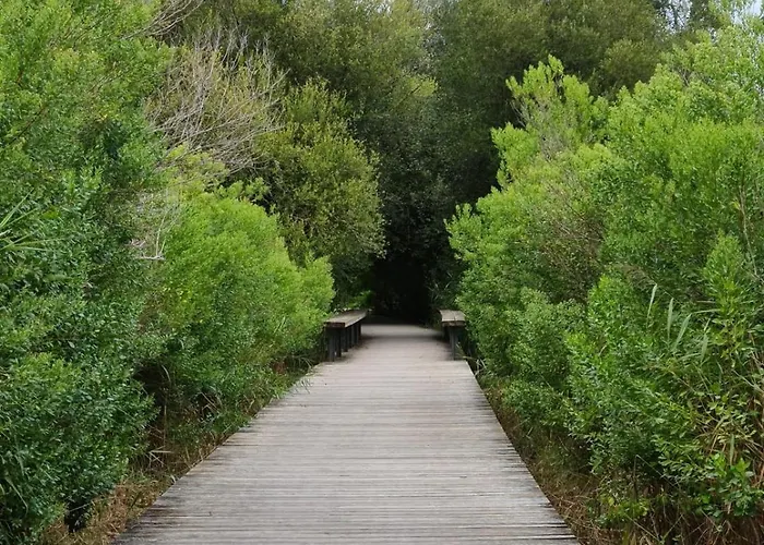 アパート 86m With Terrace Near The Beach!